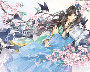 狼友视频不迷路官方网站